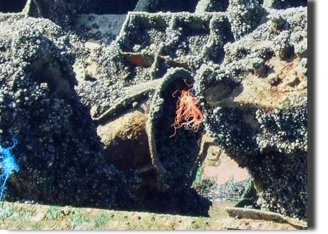 Unbekanntes Maschinenteil Unbekanntes Maschinenteil